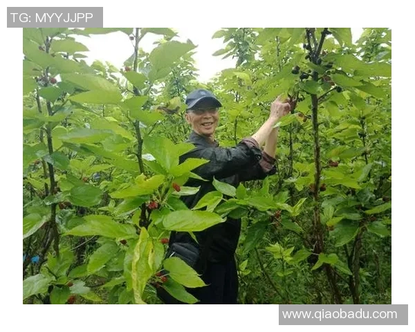 王芳的DOTA2人生探索：从新手到职业选手的深度对话与成长之路